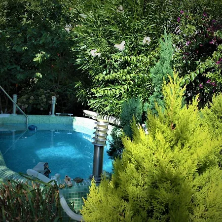 アパートホテル With Swimming Pool With Bathroom, Kitchen, Patio, Private Parking