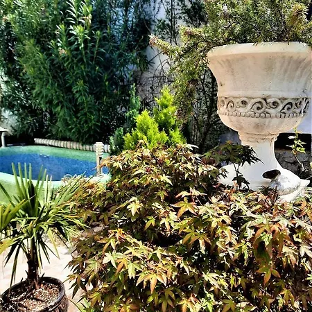 With Swimming Pool With Bathroom, Kitchen, Patio, Private Parking アパートホテル