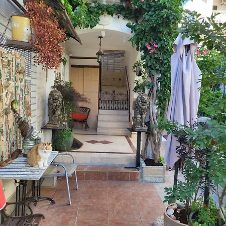 With Swimming Pool With Bathroom, Kitchen, Patio, Private Parking