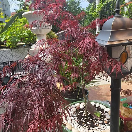 With Swimming Pool With Bathroom, Kitchen, Patio, Private Parking アパートホテル 2*