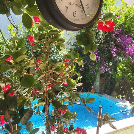 アパートホテル With Swimming Pool With Bathroom, Kitchen, Patio, Private Parking ブドヴァ