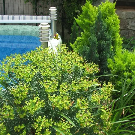 With Swimming Pool With Bathroom, Kitchen, Patio, Private Parking アパートホテル