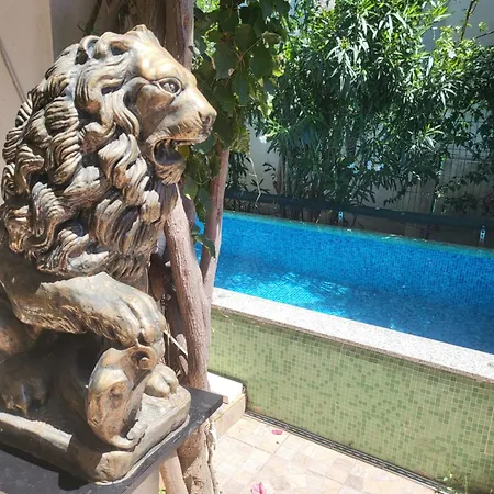 With Swimming Pool With Bathroom, Kitchen, Patio, Private Parking Budva