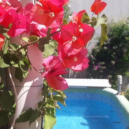 With Swimming Pool With Bathroom, Kitchen, Patio, Private Parking 2* Budua